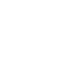 instagram-icon