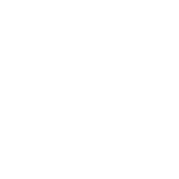 tiktok-icon